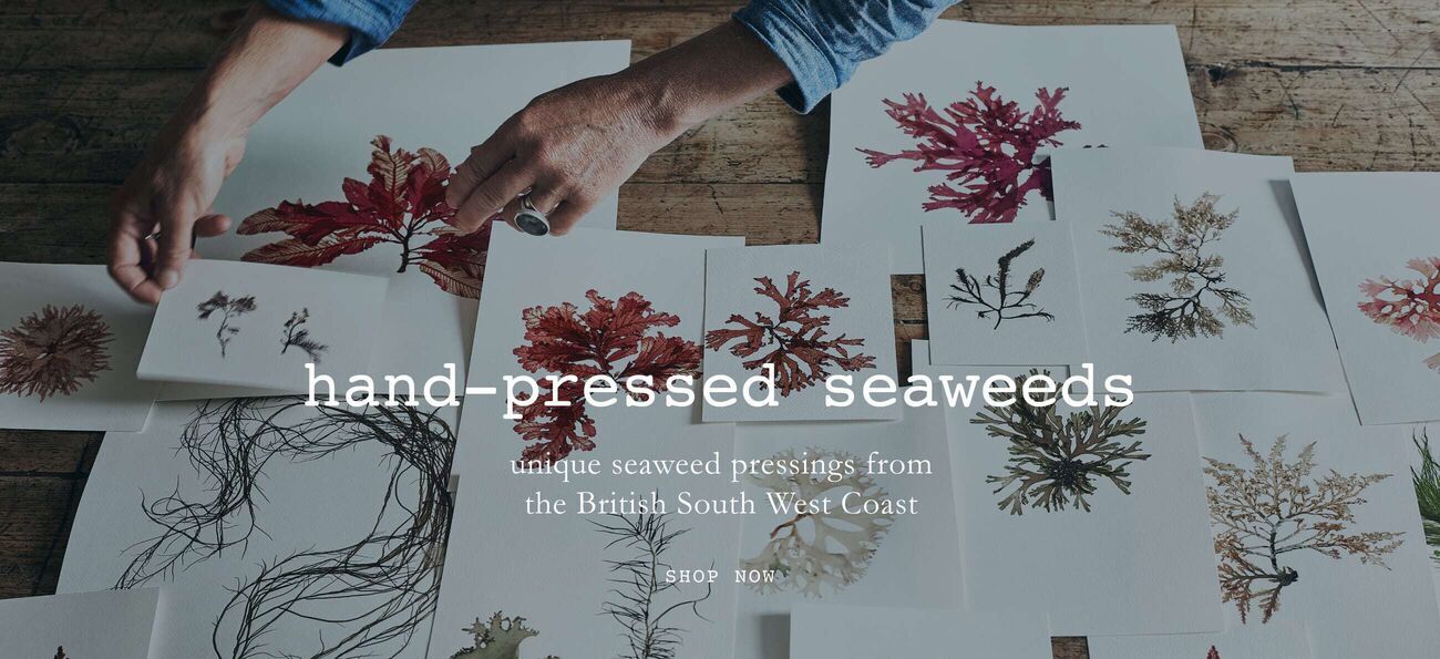 Hand Pressed Seaweeds