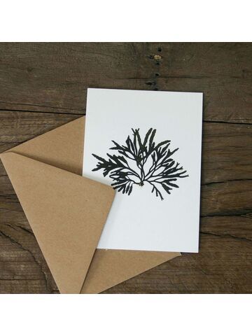 Channel Wrack Greetings Card