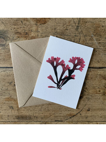 Rosy Fan Weed Greeting Card
