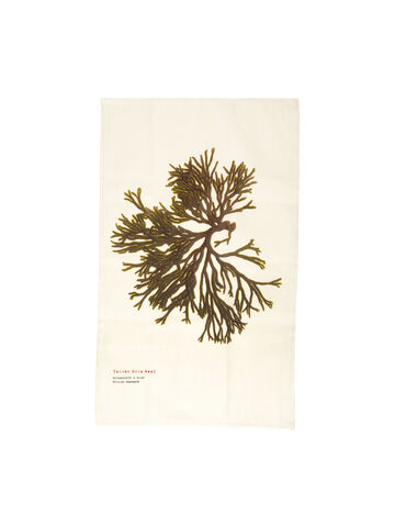 Seaweed Print Linen Union Tea Towel - Velvet Horn Weed