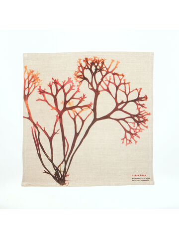 Seaweed Print Napkin - Irish Moss