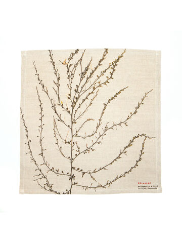 Seaweed Print Napkin - Wireweed