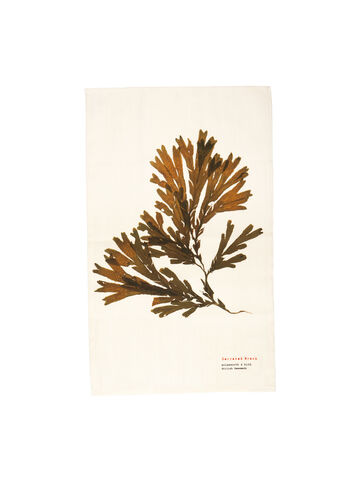 Seaweed Print Linen Union Tea Towel - Serrated Wrack