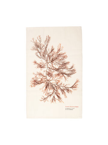 Seaweed Print Linen Union Tea Towel - Black Siphon Weed