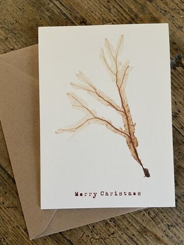 Christmas Card - Divided Net Weed
