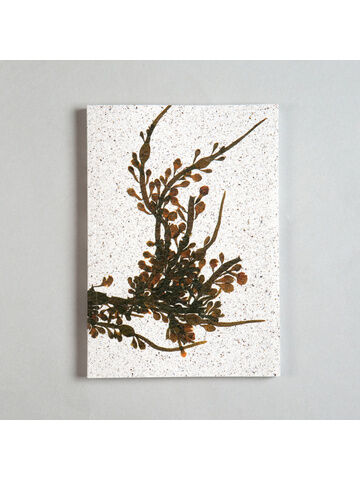 Seaweed Print A5 Notebook - Egg Wrack
