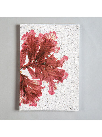Seaweed Print A5 Notebook - Sea Oak