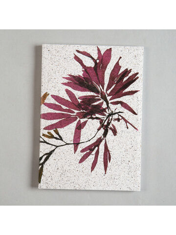 Seaweed Print A5 Notebook - Dulse & Serrated Wrack