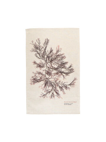 Seaweed Print Natural (un-bleached) Linen Tea Towel - Siphon Weed
