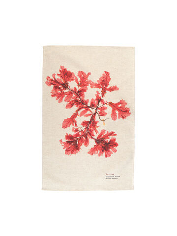 Seaweed Print Natural Linen Union Tea Towel - Sea Oak
