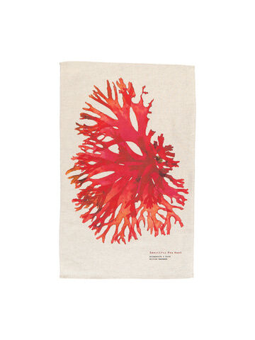 Seaweed Print Natural Linen Union Tea Towel - Beautiful Fan Weed
