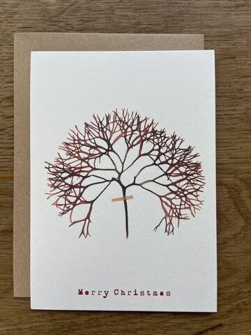 Christmas Greeting Card - Irish Moss