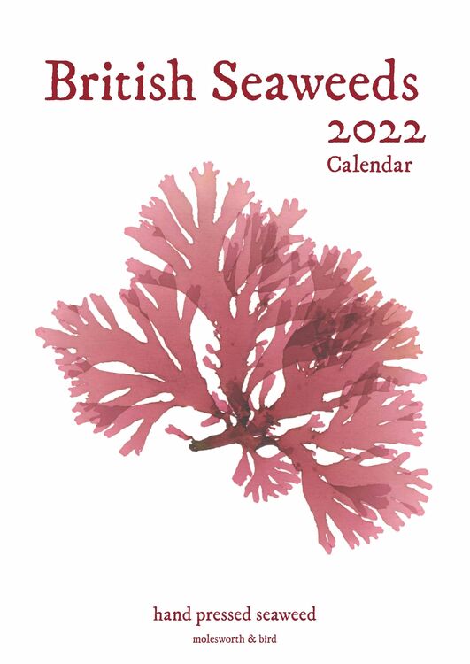 Minnesota Gardening Calendar 2022 British Seaweeds 2022 Calendar Only £19.00