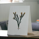 Serrated Wrack Greetings Card additional 2