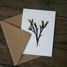Serrated Wrack Greetings Card additional 1