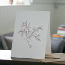 Banded Pincer Weed Greetings Card additional 2