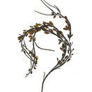 Egg Wrack (Palace Cove) - Pressed Seaweed Print A4 (Framed / un-framed) additional 1
