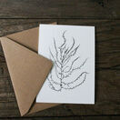 Pack of 8 British Seaweeds Greetings Cards - Set 1 additional 10