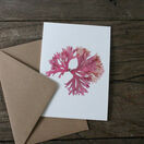 Pack of 8 British Seaweeds Greetings Cards - Set 1 additional 9