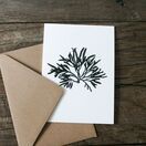 Pack of 8 British Seaweeds Greetings Cards - Set 1 additional 7