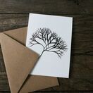 Pack of 8 British Seaweeds Greetings Cards - Set 1 additional 4