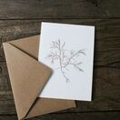 Pack of 8 British Seaweeds Greetings Cards - Set 1 additional 3