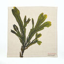 Seaweed Print Napkin - Spiral Wrack additional 1