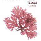 British Seaweeds 2022 Calendar additional 1
