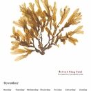 British Seaweeds 2022 Calendar additional 11