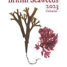 British Seaweeds 2023 Calendar additional 1