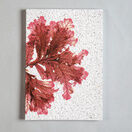 Seaweed Print A5 Notebook - Sea Oak additional 1
