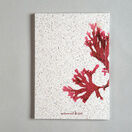 Seaweed Print Notebook A5 - Beautiful Fan Weed additional 2