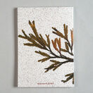 Seaweed Print A5 Notebook - Dulse & Serrated Wrack additional 2