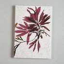 Seaweed Print A5 Notebook - Dulse & Serrated Wrack additional 1