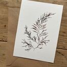 Bushy Wrack Greeting Card (Isles of Scilly) additional 1
