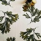 Seaweed Print Tablecloth - Serrated Wrack additional 2