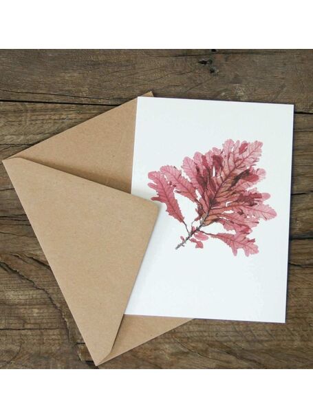 Sea Oak Greetings Card