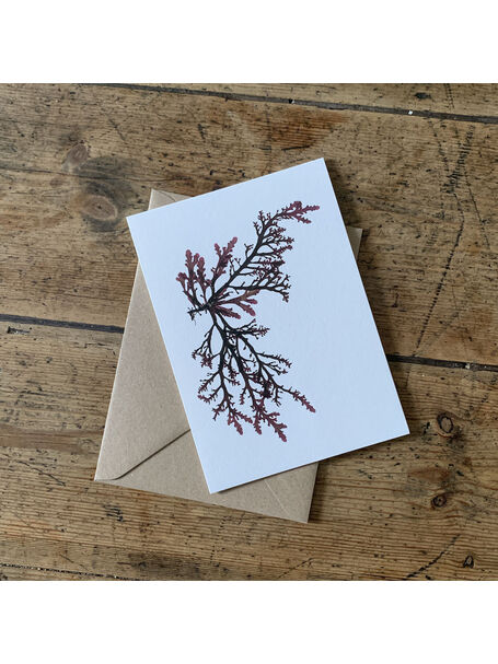 Royal Fern Weed Greeting Card