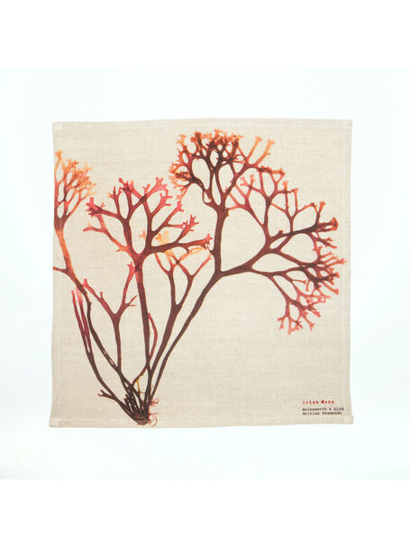 Seaweed Print Napkin - Irish Moss