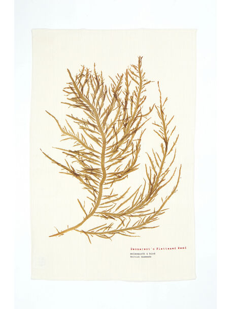 Seaweed Print Linen Tea Towel - Desmarest's Flattened Weed