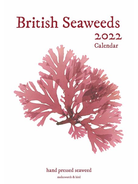 British Seaweeds 2022 Calendar
