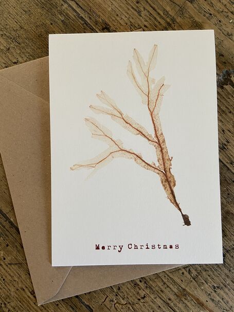 Christmas Greeting Card - Divided Net Weed