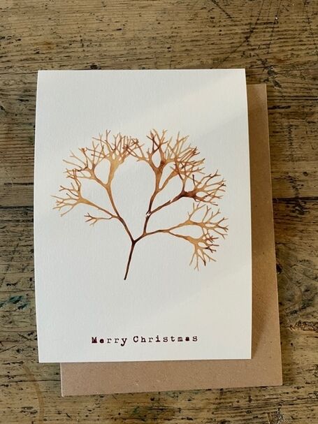 Christmas Greeting Card - Irish Moss