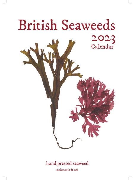 British Seaweeds 2023 Calendar