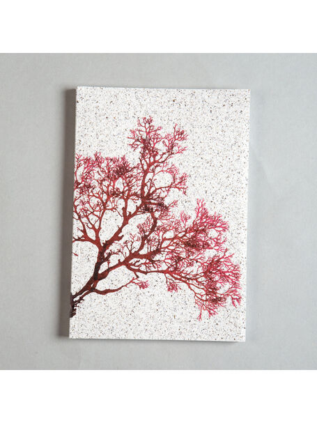 Seaweed Print A5 Notebook - Berry Wart Cress