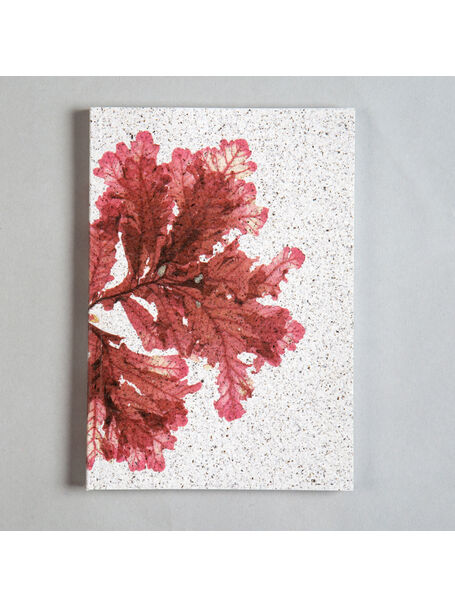 Seaweed Print A5 Notebook - Sea Oak