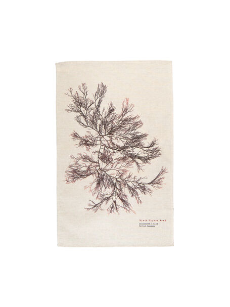 Seaweed Print Natural Linen Tea Towel - Siphon Weed