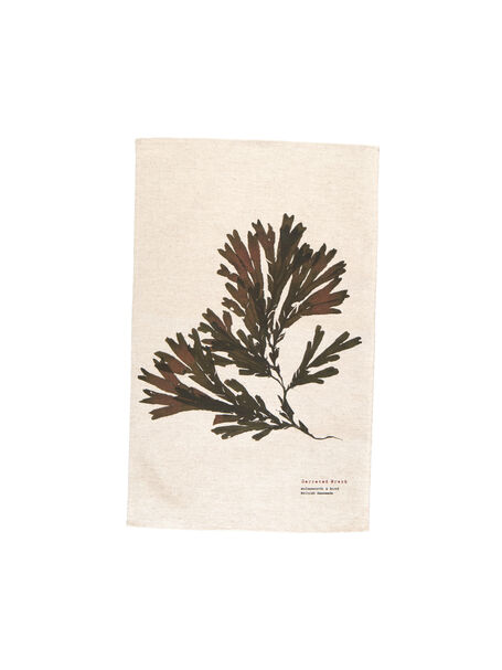 Seaweed Print Natural (un-bleached) Linen Union Tea Towel - Serrated Wrack