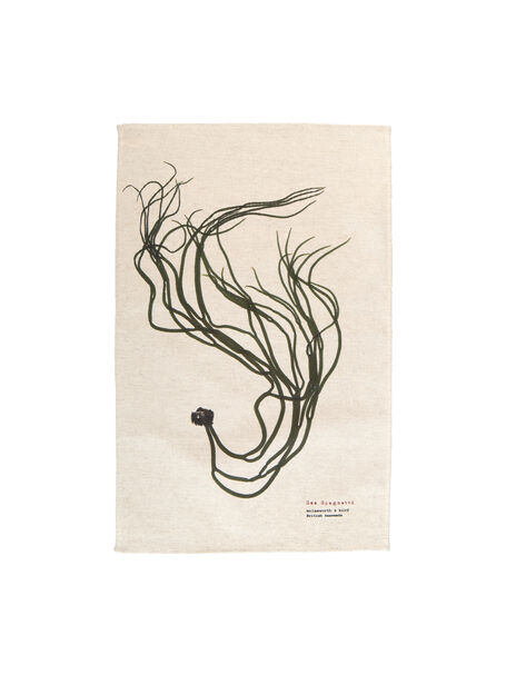 Seaweed Print Natural Linen Union Tea Towel - Sea Spaghetti